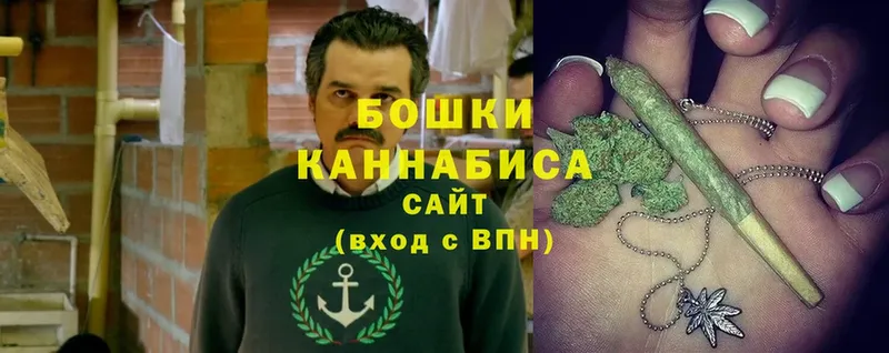 Бошки Шишки White Widow  Будённовск 